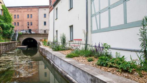 Sommerfrische Lychen - Photo 4