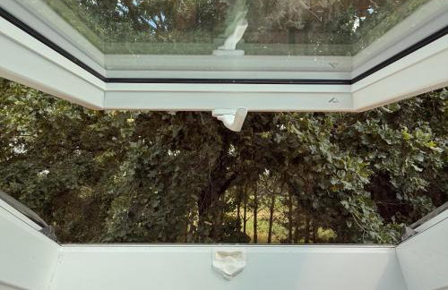 Apartamenty i Winnica - Siedlisko Na Polanie - Foto 19