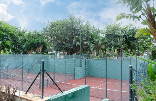 Dama de noche - Foto 24