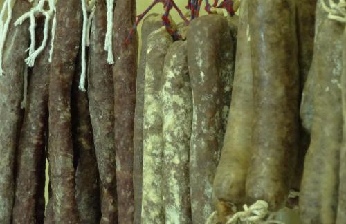 Cal Carol - Photo 16