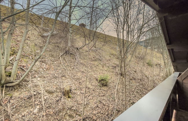 Saalbach Apartments Landhaus Bernkogel - Foto 62