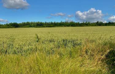 Two Bedroom Country Cottage in County Durham with Village Pub and Free Parking For Holidays and Work Stays - Foto 30