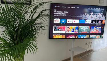 Moderne Einliegerwohnung nähe Ingolstadt und Bad Gögging - Foto 3