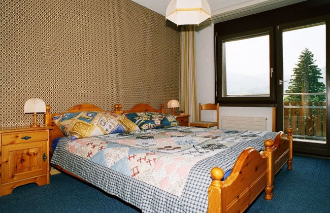 Disentiserhof Aua Cotschna Avvanzino - Foto 5