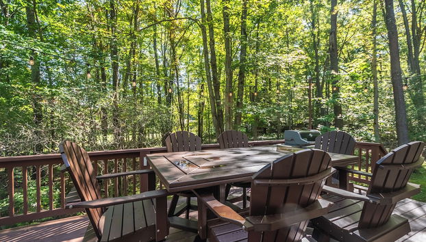 Meant to Be by Taylor Made Deep Creek - Foto 2, Servicios del alojamiento