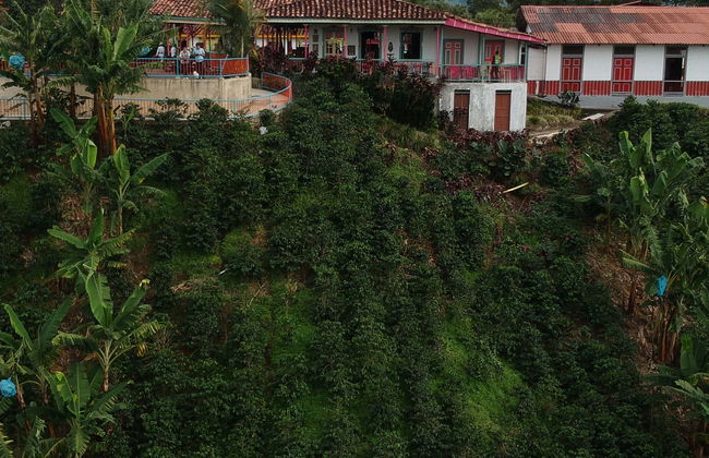 Excursion à la Finca Recuca - Photo 1