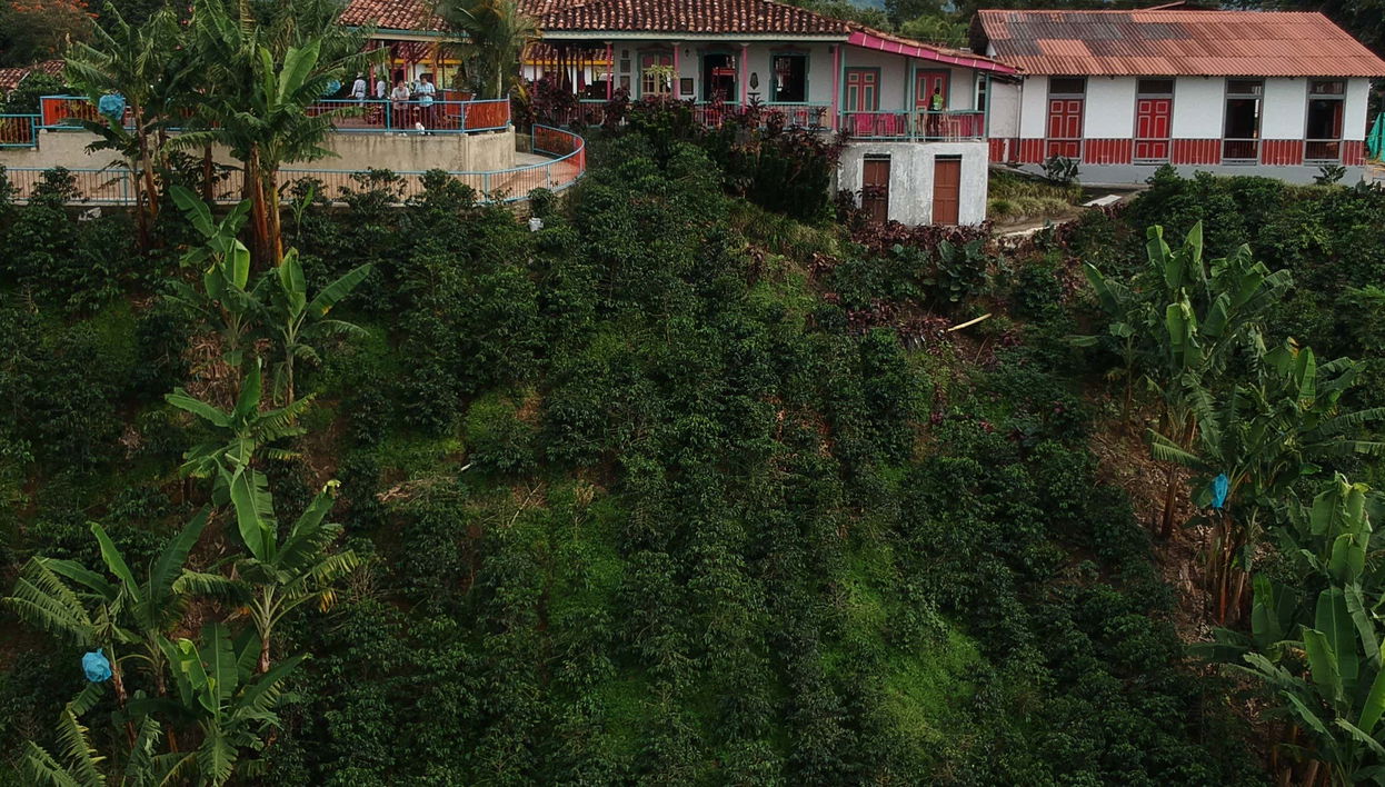 Excursion à la Finca Recuca