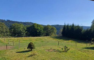Gîte et Gîte Equestre Au Galop des 1000 Etangs - Foto 21