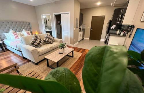 502 Luxury 1BR apartment in center city - Foto 8