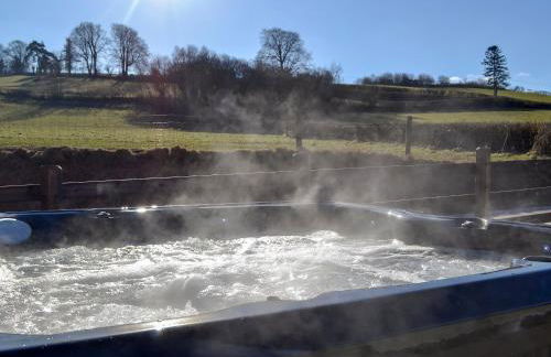 Maes Merlin - Photo 2