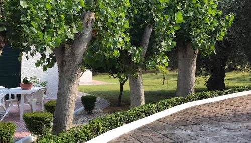 Villa Il Carrubo - Basilicata - Foto 5, Garden, Garden view