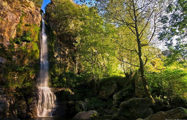 Apartamentos Rurales La Torre - Foto 74