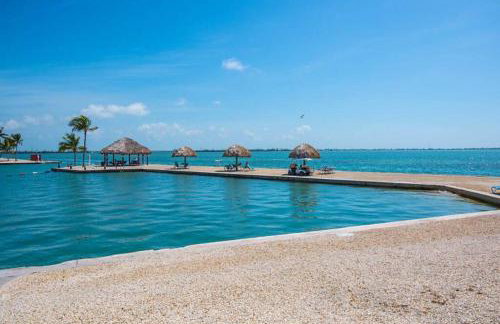 Tree Top Paradise - Foto 40