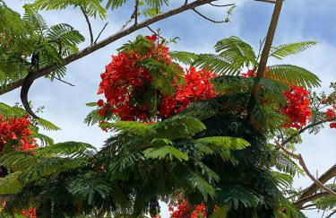 Apartment Eden Park - Photo 25