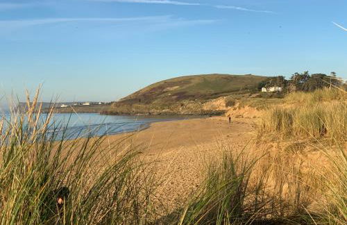 Oystercatcher, Pityme - Foto 15