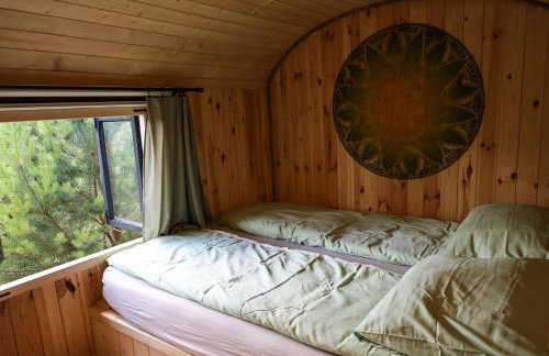 Oaza Święty Spokój - domek z balią i jacuzzi - Foto 20