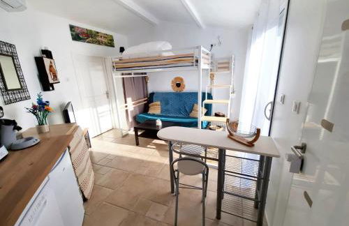 Maisonnette/Tiny House - Jardin privé - Foto 8