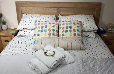 Anvil The Old Smithey - Foto 17