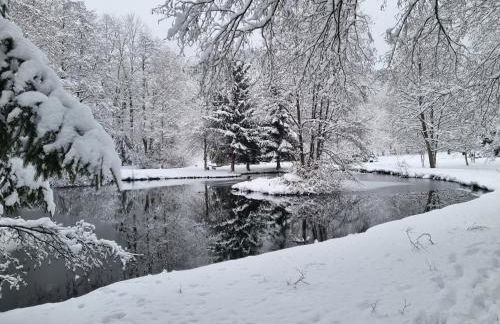 Insolite Tiny House Sérénité Bien Être - Foto 6