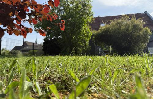 FeWo Nordseeflair OG - Wiarden - Foto 39