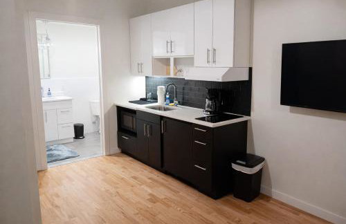 Pratt St Brand New Studio Loft Elevator Building - Foto 21