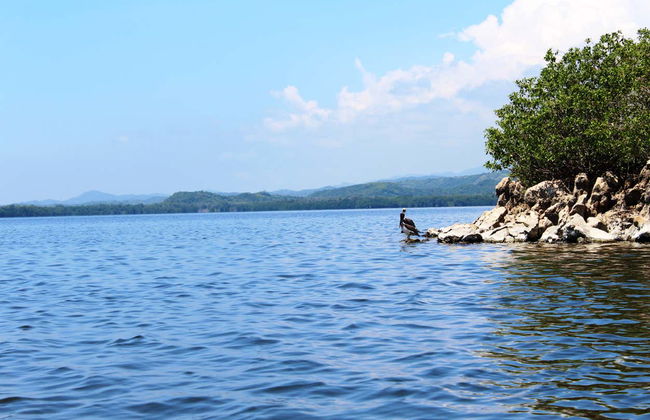 Escursione alla Laguna di Manialtepec - Foto 4