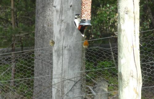 Sawmill Cottage - Foto 17