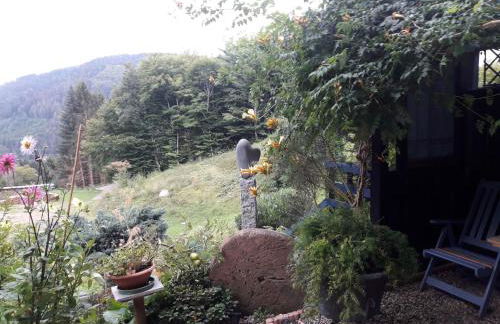 Apartment Haus Wiesental by Interhome - Foto 12