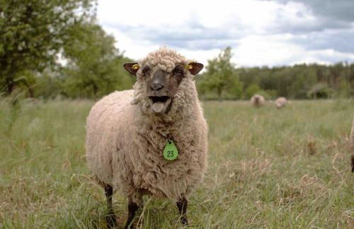 Shropshire House - Foto 25