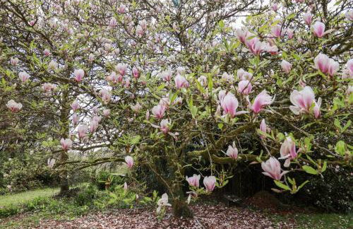 Dunridge Cottage - Foto 30