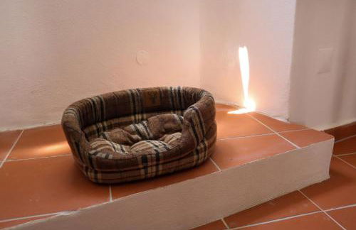 TI8-Travessa das Invernas 8 - Foto 18