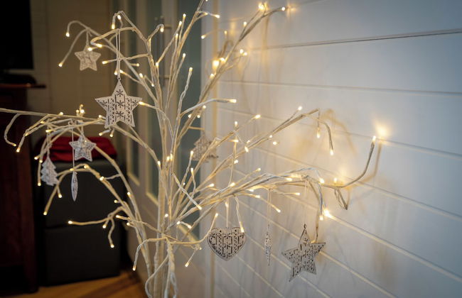 Blissful Birchs Bay - Foto 11