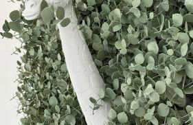 Gîte Relax'O'Zoo à 4min du Zoo - Foto 20