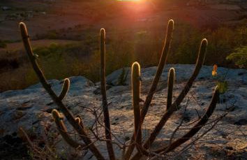 Fazenda Terra Bonita - Foto 14