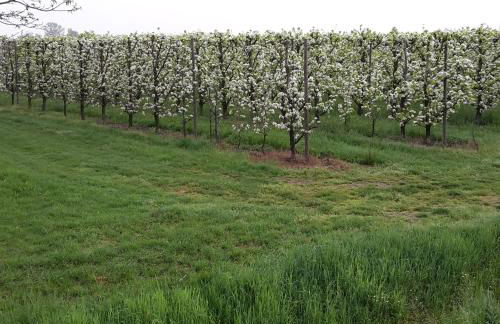 Agriturismo Dosso al Porto - Photo 26