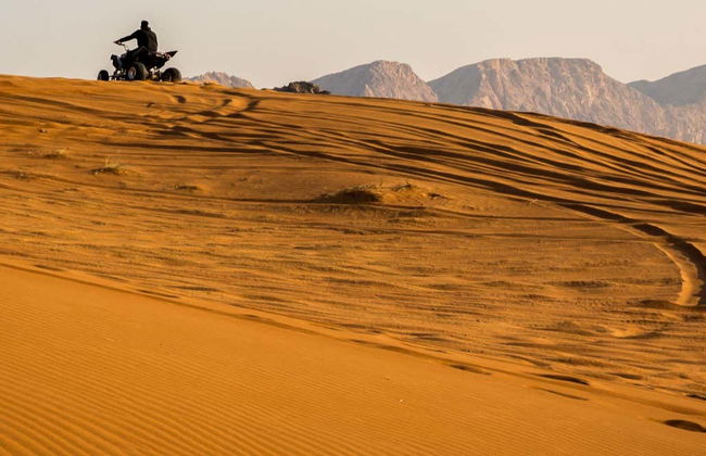 Paracas National Reserve Quad Bike Tour - Foto 1