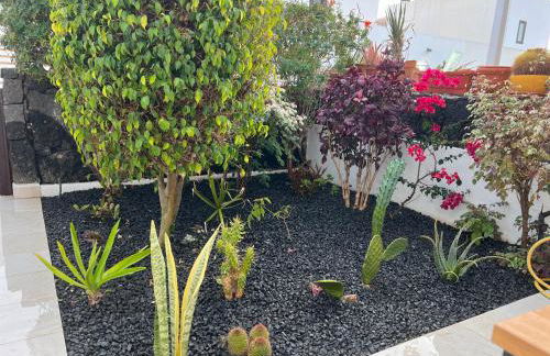 Finca Thiago - Foto 14