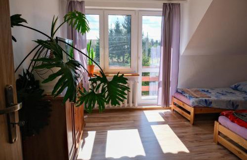 Pokoje u Ani - Foto 31