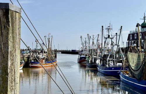 Gulfhof Butendiek - Groot Stuuv - Photo 43