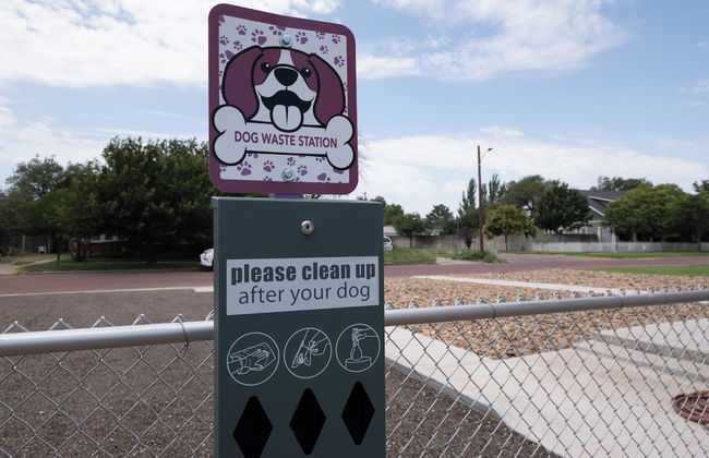 Dragon on Taylor - Foto 37