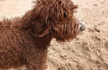 Seaglass Cottage - Redcar - Foto 57