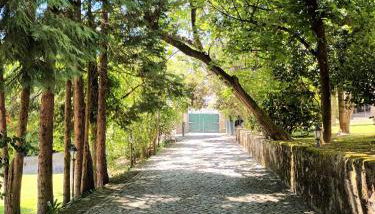 Casas do Souto - Foto 5