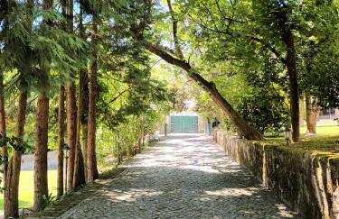 Casas do Souto - Foto 5