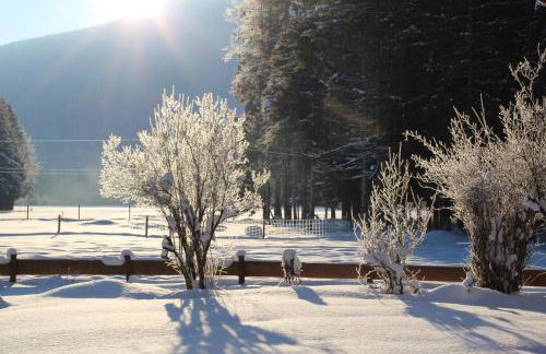 Ferienhof Zum Sagschneider - Foto 19