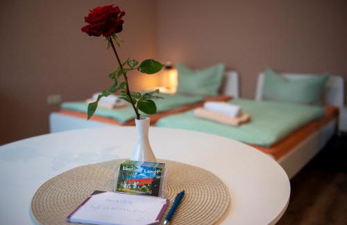 Top-moderne Ferienwohnung und Apartments auf früherem wunderschönen Bauernhof im Elbe-Elster-Kreis in Brandenburg bei Herzberg-Elster, Schönewalde, Holzdorf - Foto 39