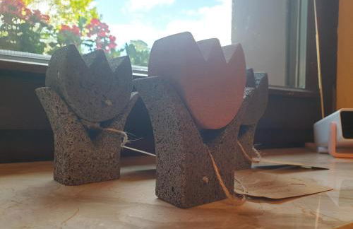 fewo-elzerhof - Foto 12