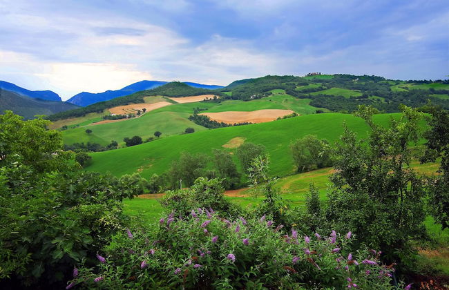Agriturismo Ca' le Suore - Foto 68