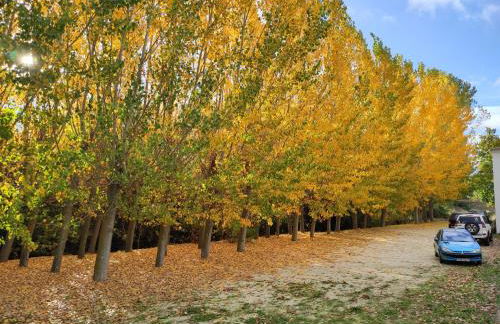 Complejo Apartamentos Rurales Molino de Abajo - Foto 38