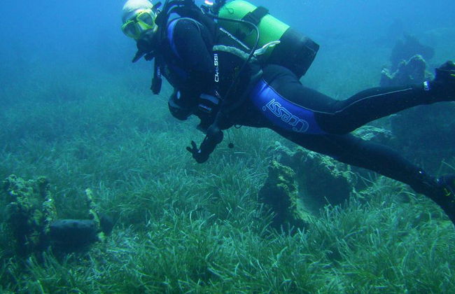 Mergulho com Snorkel em Bodrum - Tour de Dia Inteiro - Foto 1