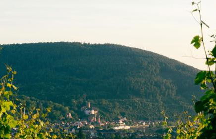 Bürgstadt, Am Bischof mit Sonnenterrasse, 1 bis 4 Betten - Foto 36